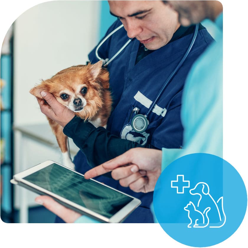 HIPAA Regulations Are Not Just for Humans